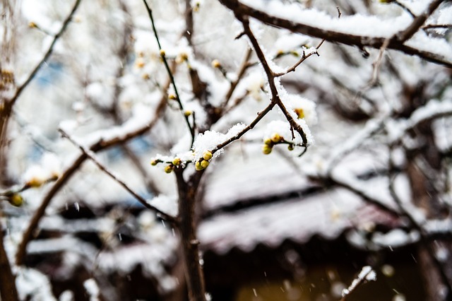 线进攻点