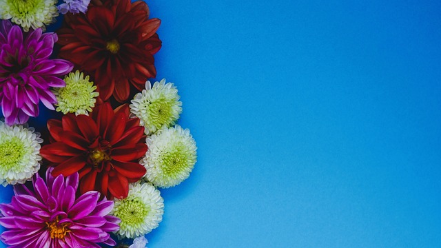 在足球世界 在足球世界