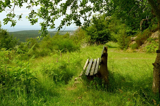 韩国等国家 韩国等国家