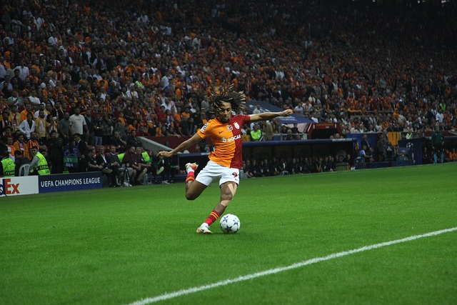 是参议员的 是参议员的