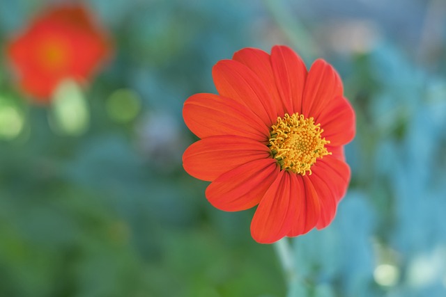 此次比赛 此次比赛