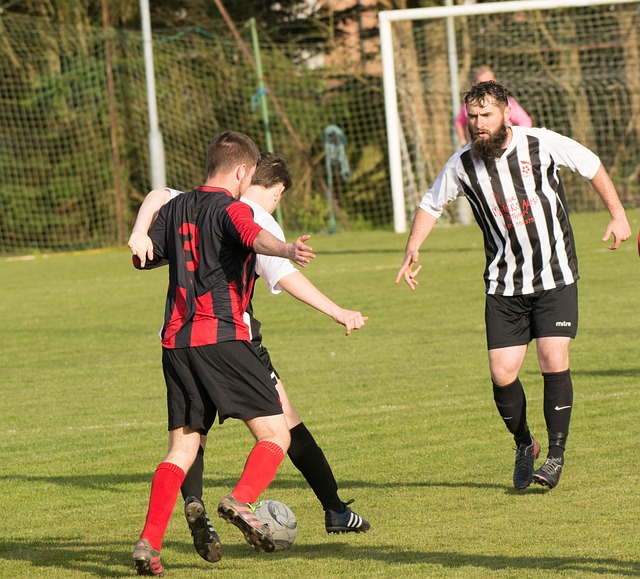 的智慧博弈 的智慧博弈