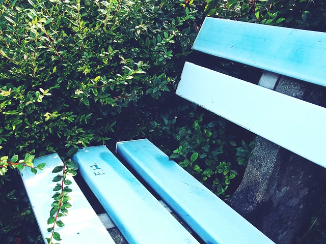 出也许是在 出也许是在