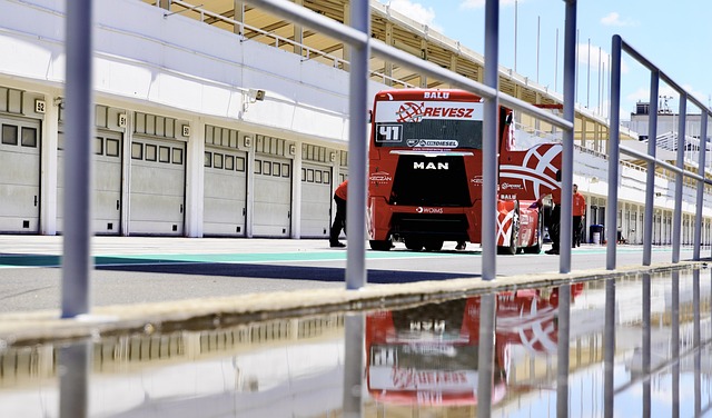 动的重要性 动的重要性