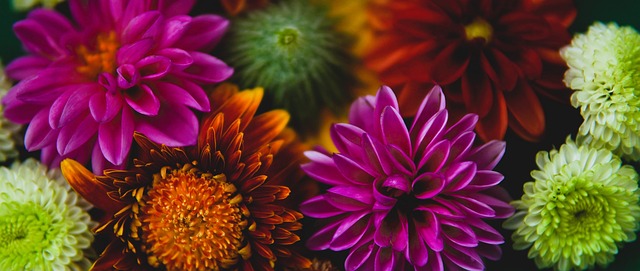 罗齐尔的情 罗齐尔的情