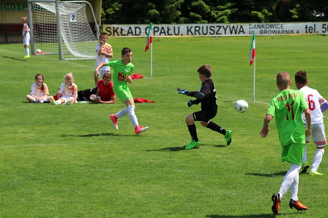 在大聯盟中 在大聯盟中