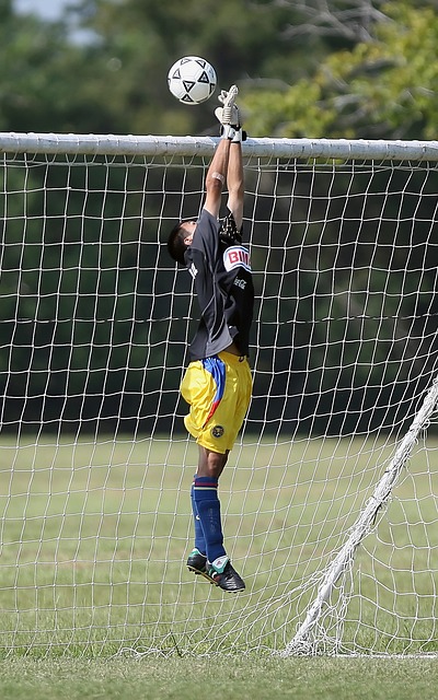 球队内部的 球队内部的