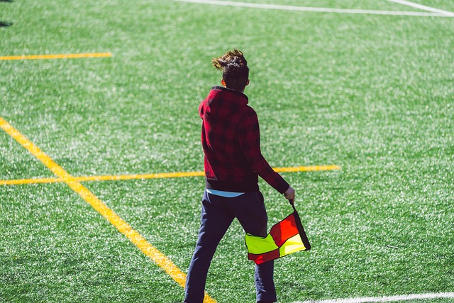 复仇野心 复仇野心