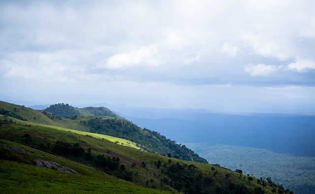 象而被过度 象而被过度