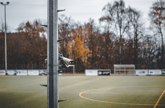 球赛场将迎 球赛场将迎